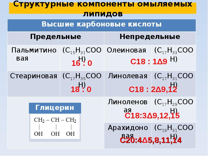 Липиды омыляемые презентация