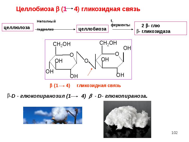 Составьте схему применение целлюлозы