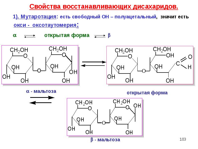 Схема образования дисахаридов