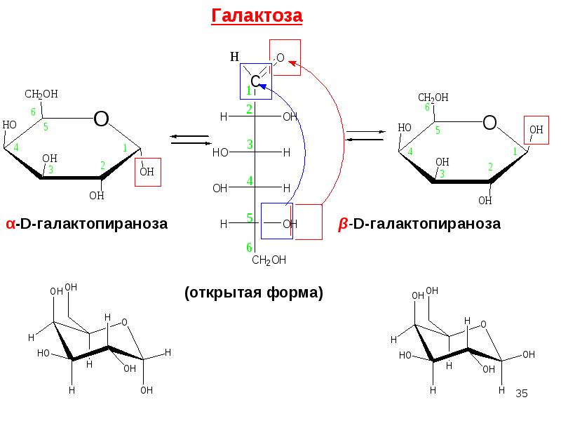 Схема таутомерных превращений лактозы