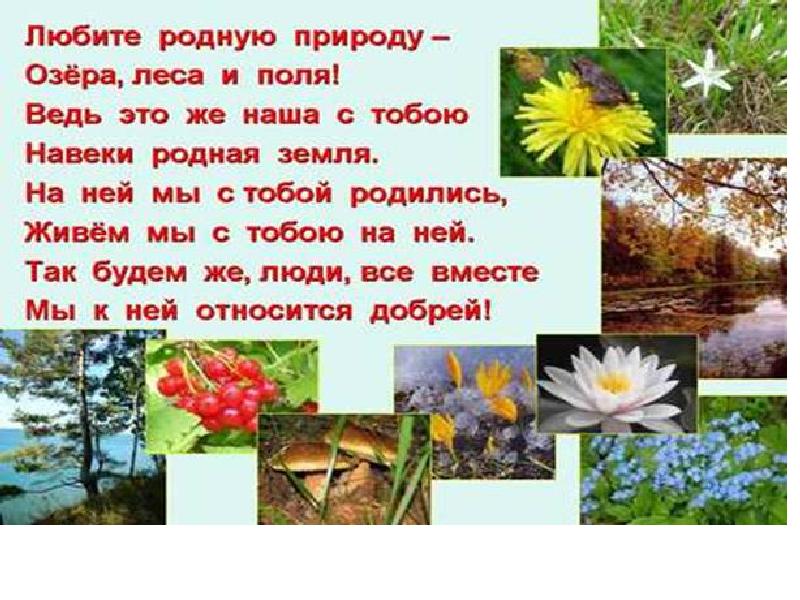 Презентация родная природа