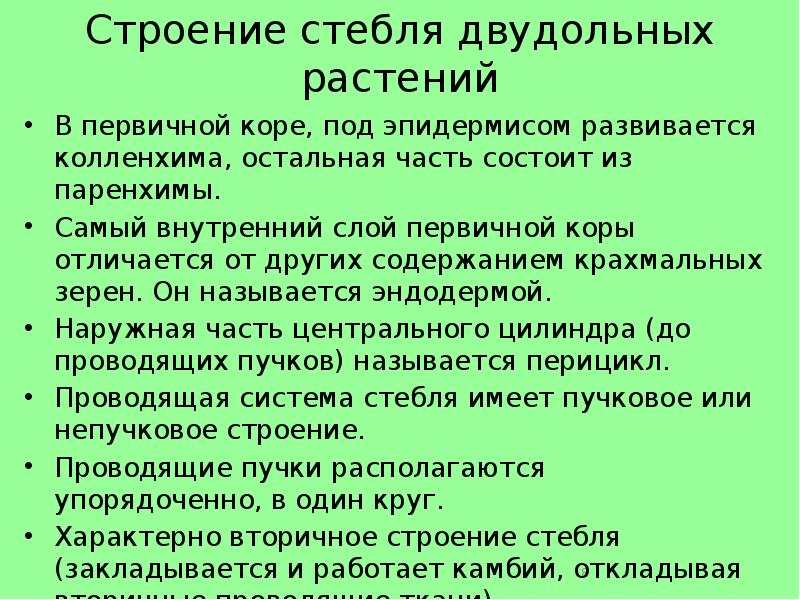 Вывод строение стебля