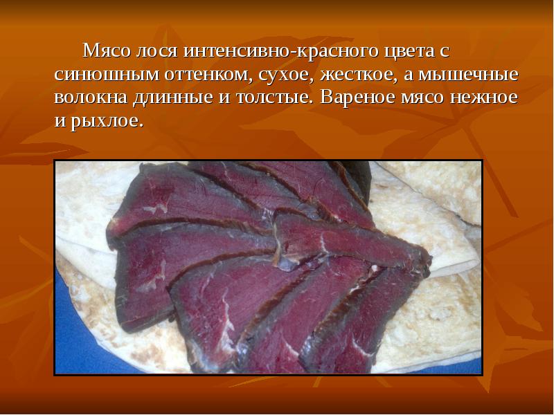 Лосина мясо. Употребление в пищу мяса.