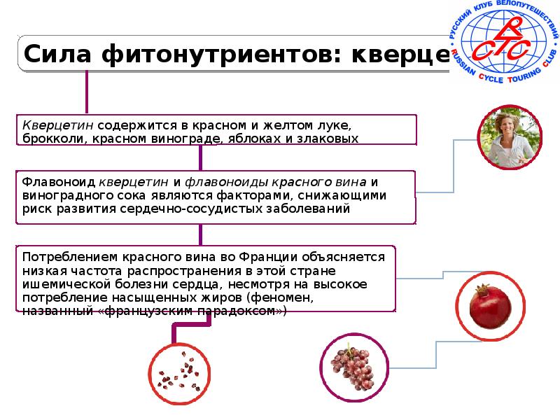 Принципы рационального питания схема