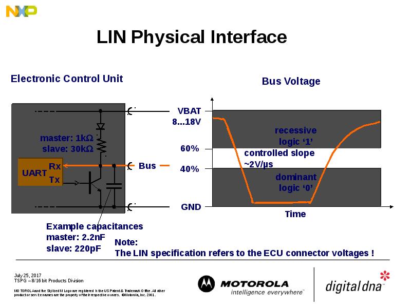 LIN Physical Interface