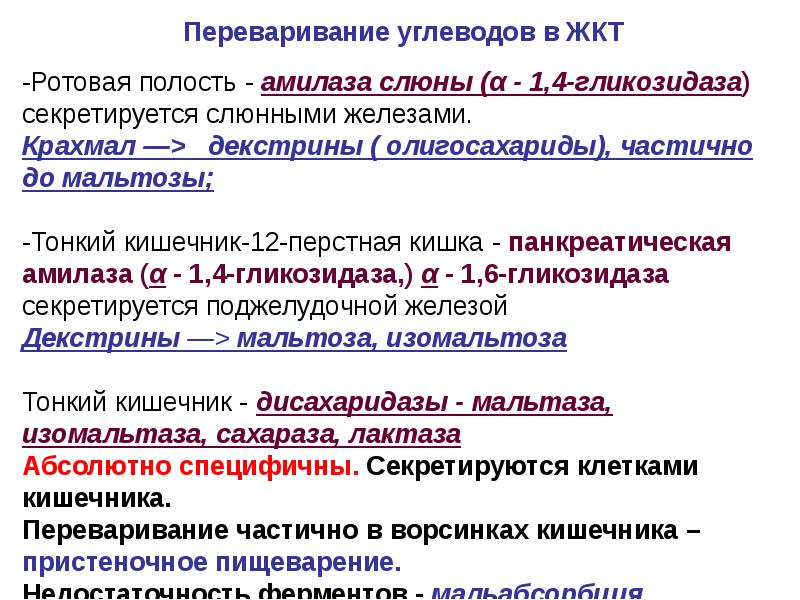 Схема переваривания крахмала