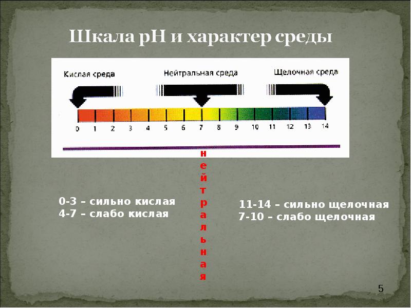 В мире индикаторов презентация