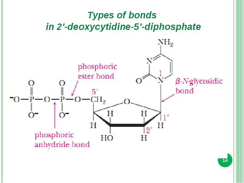 B s structure. Nucleic acid structure. Types of Bonds. Types of Bonds in Protein structures. CMP nucleotide Formula.