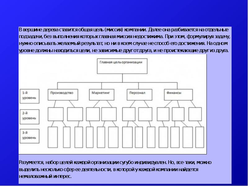Функциональная стратегия структура. Цели каждой организации. Цель каждого предприятия. Основные концепции менеджмента. Иерархия целей.