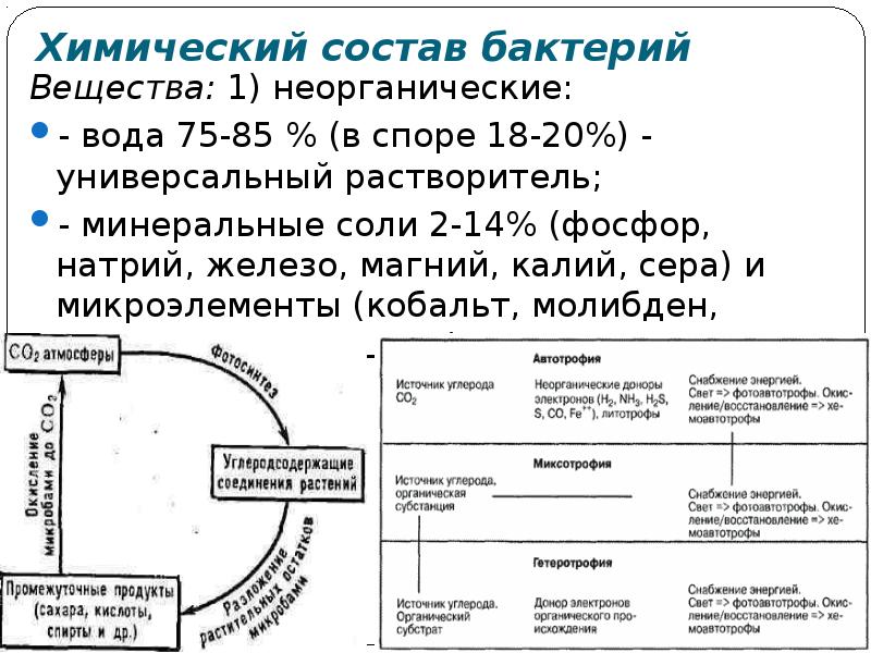 Химический состав кратко. Химический состав микроорганизмов схема. Химический состав бактерий. Химический состав споры бактерий. Физиология бактерий методы ее изучения.