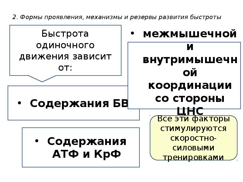 Механизм проявления. Физиологические резервы развития быстроты. Механизм формирования двигательного навыка. Физиологические механизмы формирования двигательных навыков. Физиологический механизм проявления быстроты.