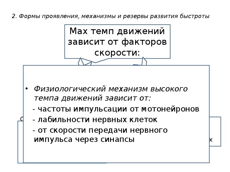 Механизм проявления. Физиологические механизмы развития быстроты. Физиологические резервы развития быстроты. Физиологический механизм проявления быстроты. Физиологические резервы развития физических качеств.