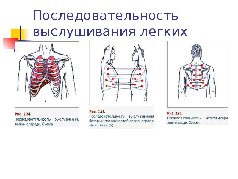 Методы исследования дыхательной системы презентация