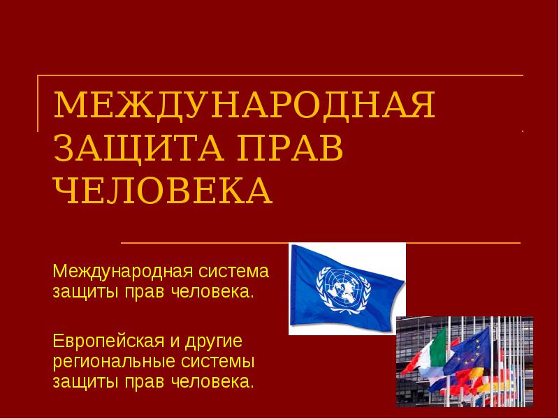 Международная защита прав человека презентация 10 класс боголюбов конспект