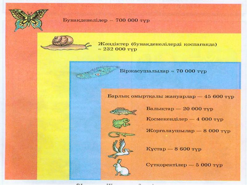 Омыртқалы жануарлар презентация