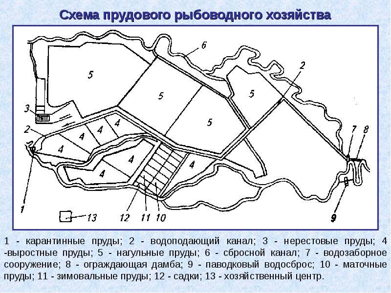 Проект рыбоводного хозяйства