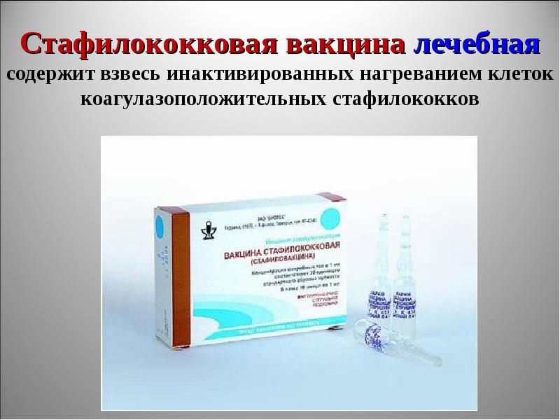 Стафилококки и стрептококки