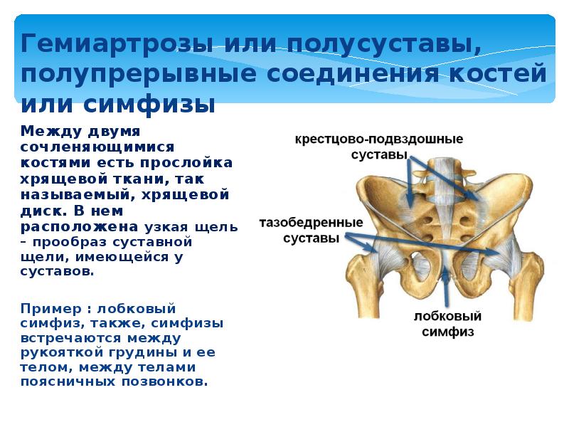 Тазовое соединение