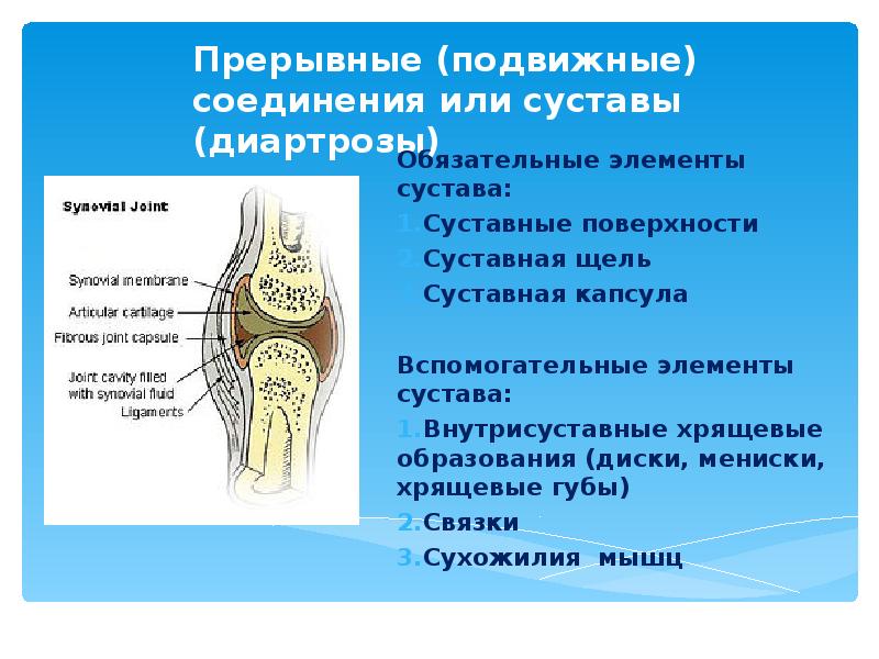 Прерывные соединения