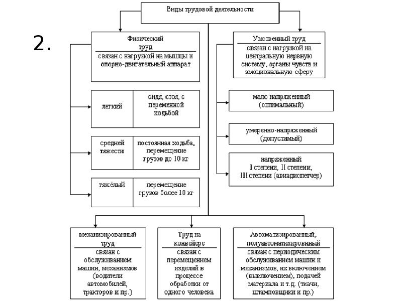 Виды труда схема