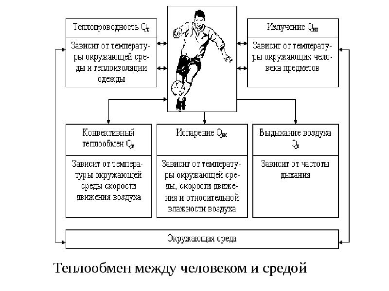 Параметры оценки трудовой деятельности..