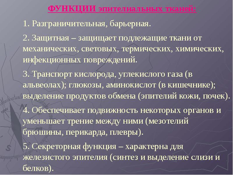 Организация ткани. Общие принципы организации тканей. Общие принципы организации эпителиальной ткани. Гистогенез эпителиальных тканей. Разграничительная функция эпителиальной ткани.