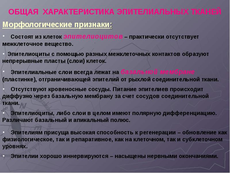 Организация тканей. Принципы организации эпителиальной ткани. Принципы организации тканей. Общие принципы организации тканей. Общие принципы организации эпителия.