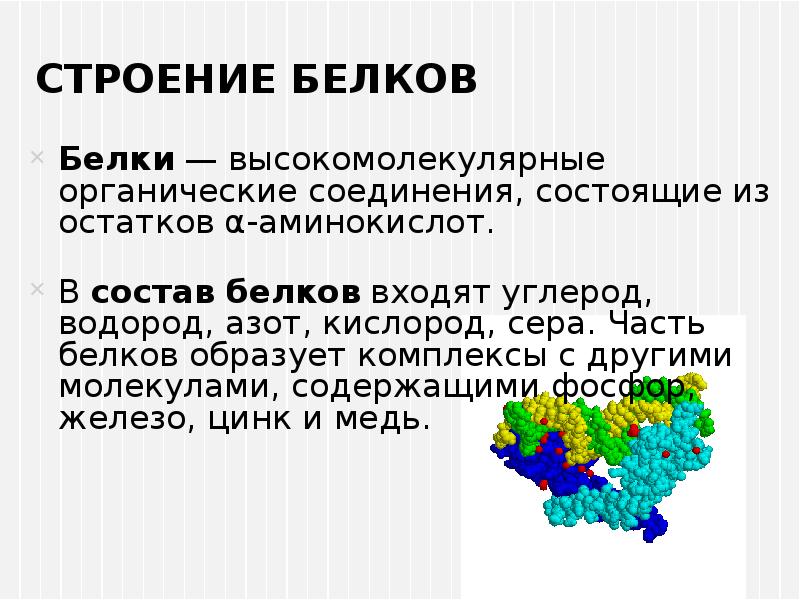 Белки строение и функции. Строение белков презентация. Белки строение кратко. Белки строение и функции кратко.