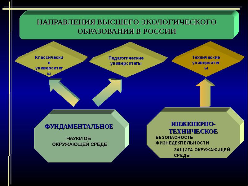 Направления высшего образования