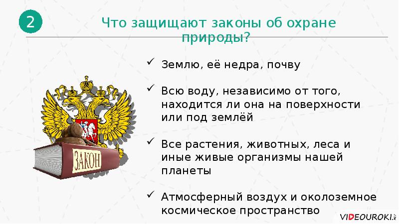 Презентация по обществознанию 7 класс закон на страже природы