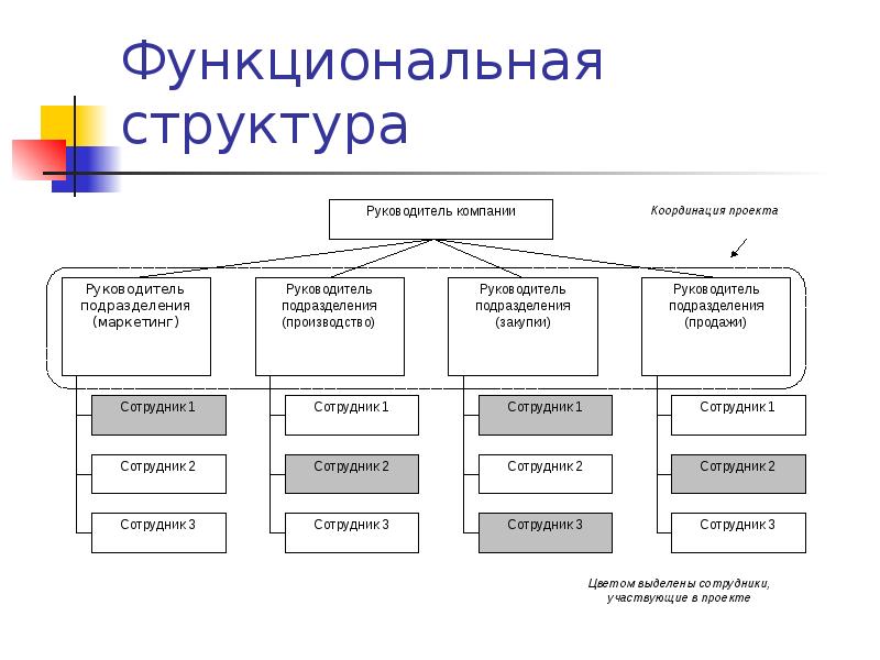 Плюсы функциональной организационной структуры