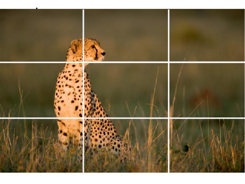 Фотография правило третей