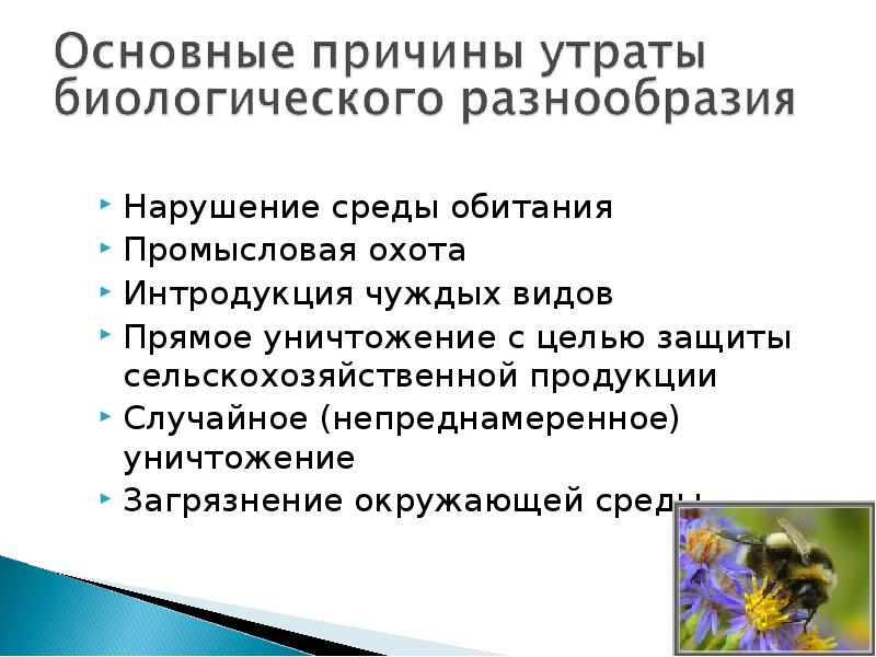 Проблема утраты биологического разнообразия презентация