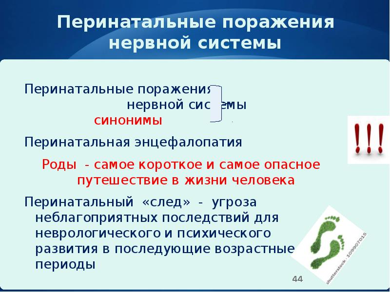 Перинатальные поражения нервной системы
Перинатальные поражения Перинатальные поражения нервной системы
Перинатальные поражения