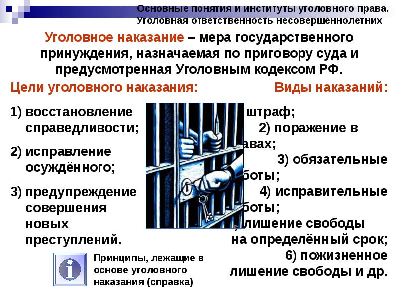 Основные понятия и институты уголовного права 9 класс презентация