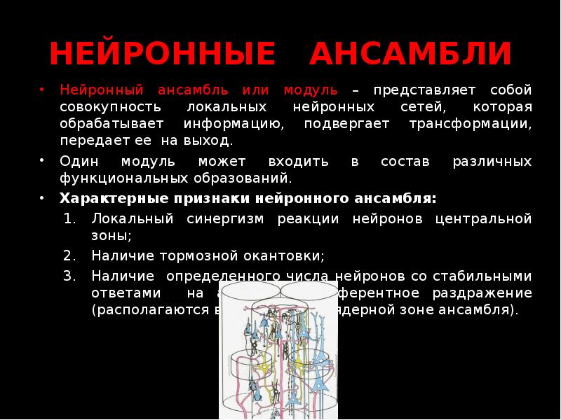 нейронный ансамбль. синаптические связи нейронной сети. нервная система человека нейрон. нейронный ансамбль. ансамбль нейронов физиология.