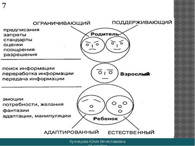 Взрослые родительские организмы схема