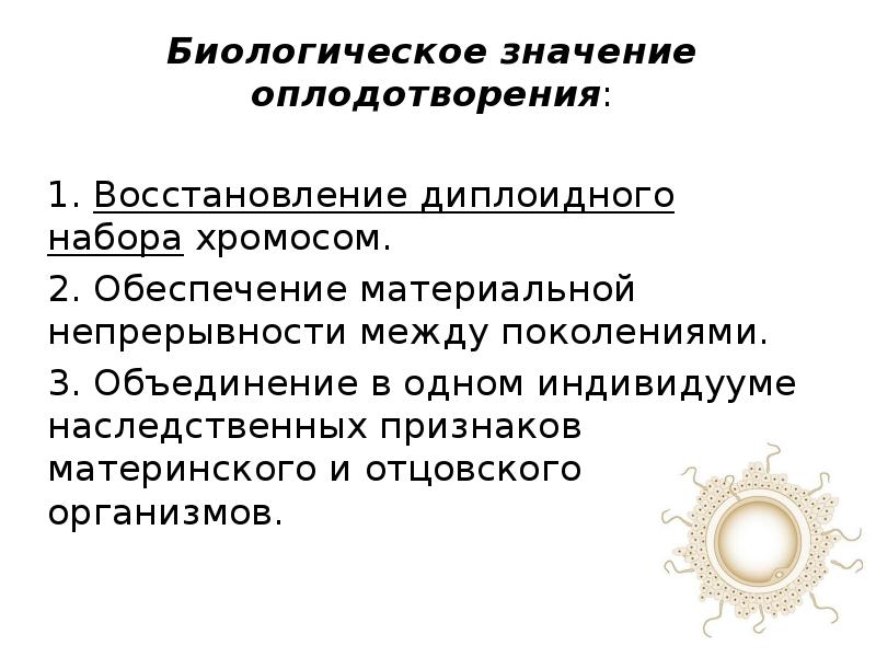 Презентация биология оплодотворение 10 класс биология