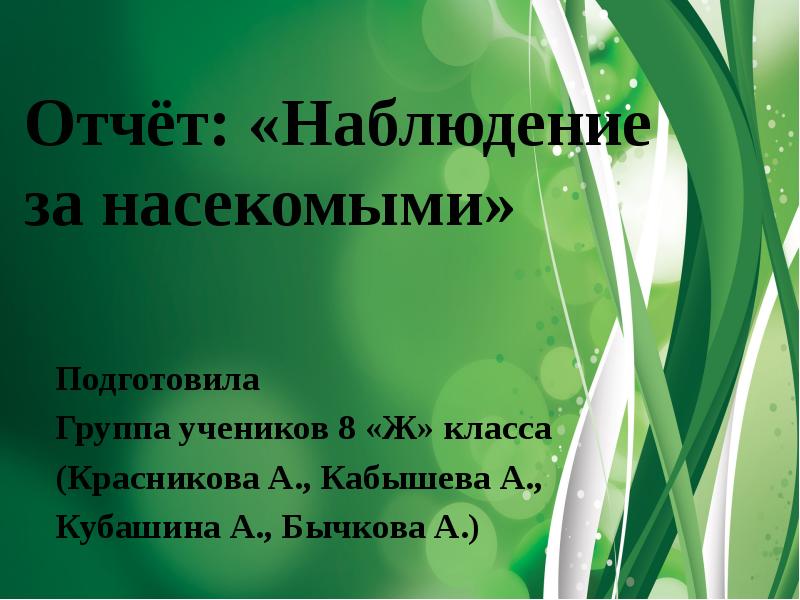 Отчет наблюдение. План наблюдений за насекомыми воды 2 класс. Доклад наблюдения за насекомыми 5 класс.