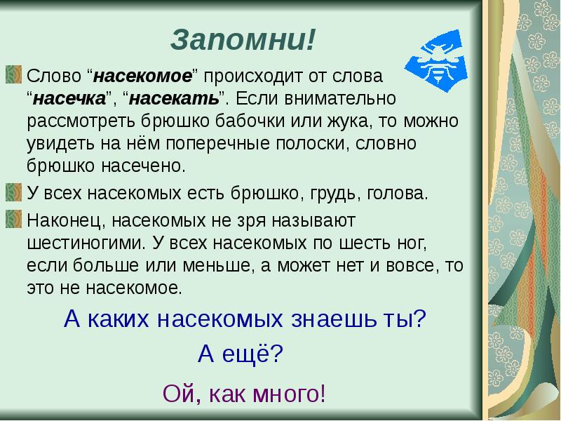 От какого слова произошло название. От какого слова произошло слово насекомые. Происхождение термина насекомые. Происхождение слова насекомое. Слово насекомое произошло от.