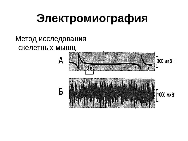 Медицинские аспекты физиологии возбудимых тканей презентация