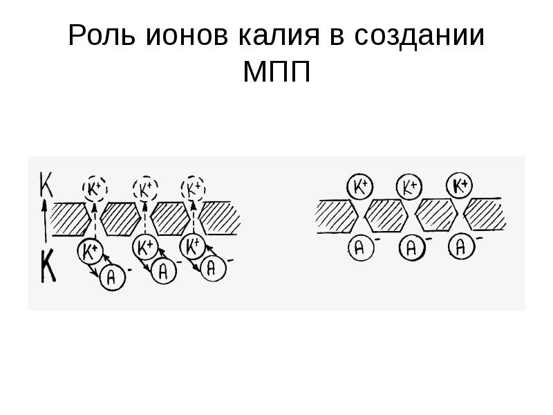 Схема получения ткани