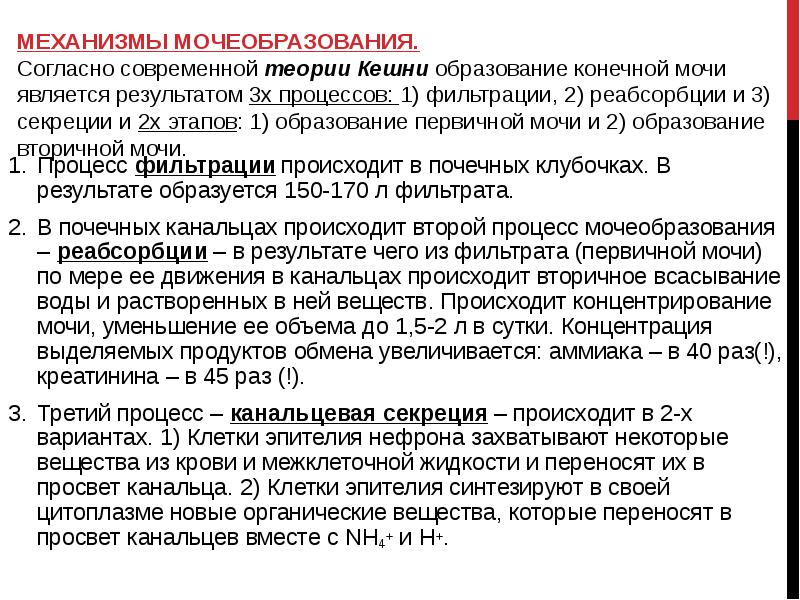 Процесс мочеобразования презентация