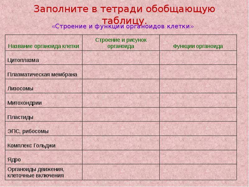 Таблица клетка 9 классы. Часть клетки строение функции таблица 9 класс биология. Таблица по теме органоиды клетки 9 класс. Название органоида строение функции таблица 7 класс. Органоиды строение и функции таблица.