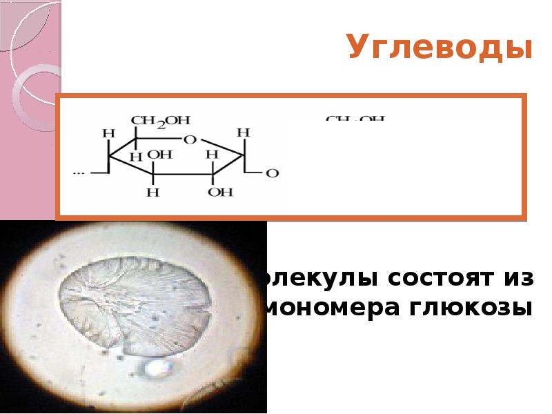 Мономеры углеводов. Углеводы состоят из мономеров Глюкозы. Мономерами углеводов являются. Мономерами сложных углеводов являются. Мономер сложных углеводов.