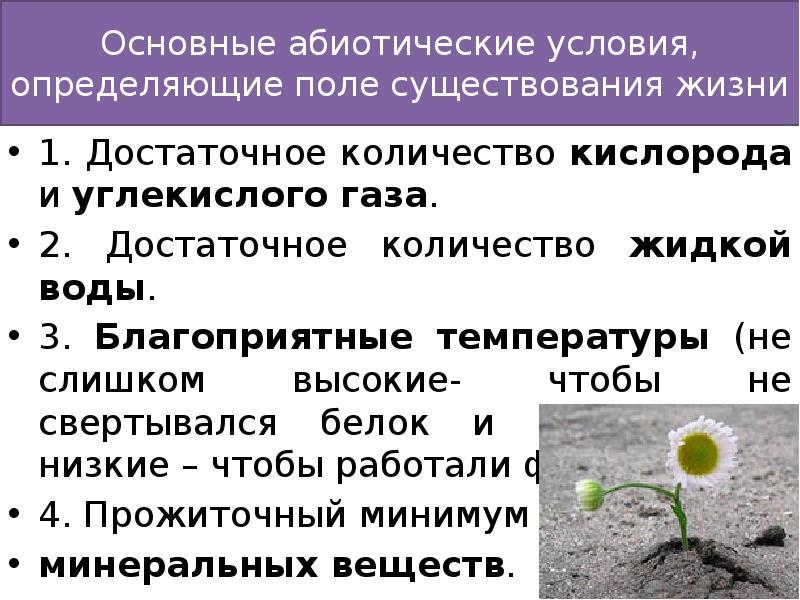 Абиотические факторы группы растений. Абиотические условия. Поле существования жизни. Поле существования и поле устойчивости жизни. Условия существования жизни.