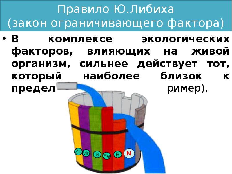 Ограниченны законом