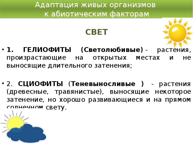 Свет как абиотический фактор