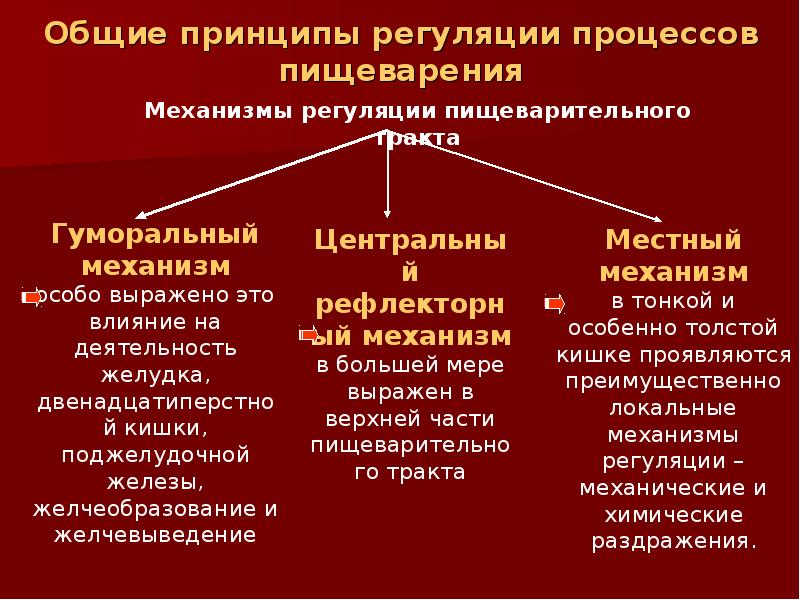 12 перстная кишка центральный узел гуморальной регуляции пищеварения схема