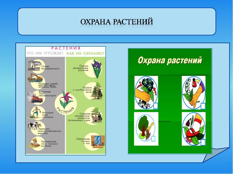 Охрана растений презентация 3 класс окружающий мир плешаков презентация и конспект